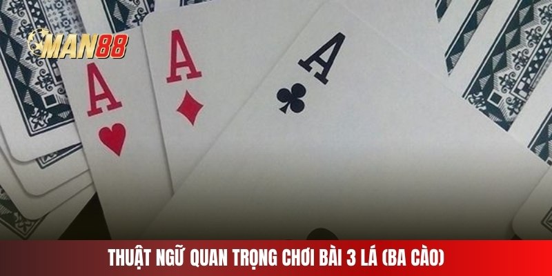 Thuật ngữ quan trọng chơi bài 3 lá (ba cào)